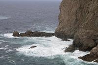 Cjp_2017-04-04_121040.jpg