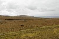 Cjp_2017-04-04_121146.jpg
