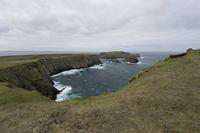Cjp_2017-04-04_121406.jpg