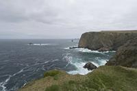 Cjp_2017-04-04_121440.jpg