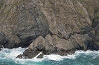 Cjp_2017-04-04_121828.jpg
