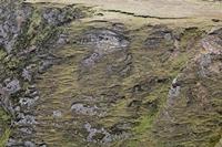 Cjp_2017-04-04_122144.jpg