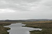 Cjp_2017-04-04_123952.jpg