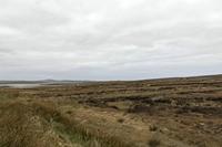 Cjp_2017-04-04_125316.jpg