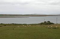 Cjp_2017-04-04_130120.jpg