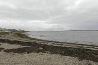 Cjp_2017-04-04_132234.jpg