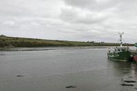 Cjp_2017-04-04_133750.jpg