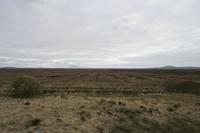 Cjp_2017-04-04_140902.jpg