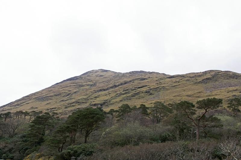 Cjp_2017-04-05_153530.jpg