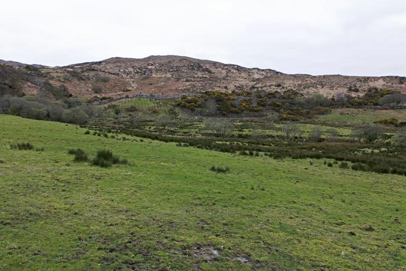 Cjp_2017-04-06_072608.jpg