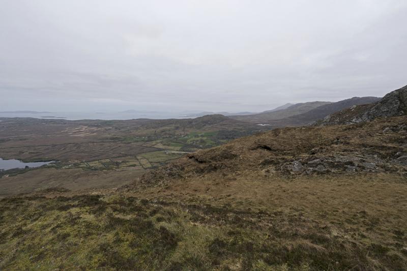 Cjp_2017-04-06_080514.jpg