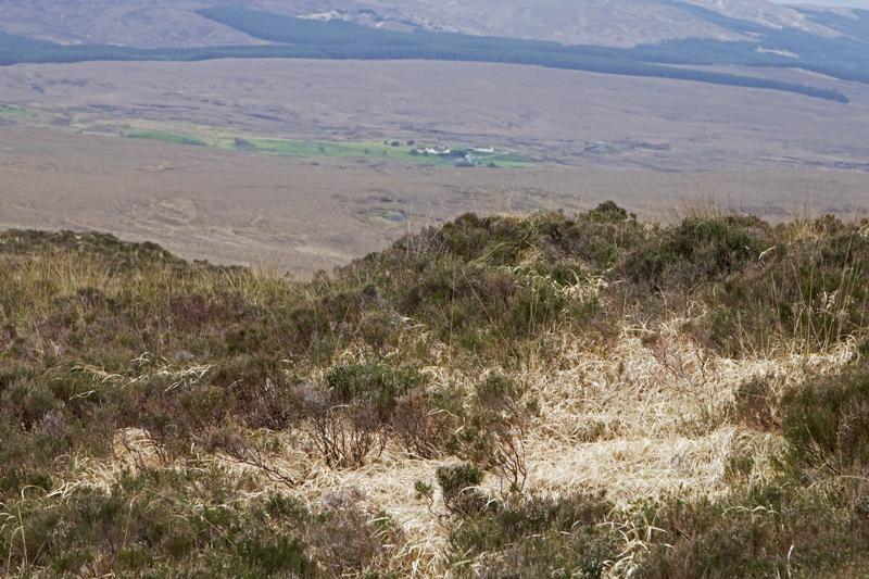 Cjp_2017-04-06_085916.jpg