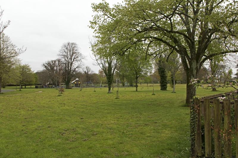 Cjp_2017-04-11_075152.jpg
