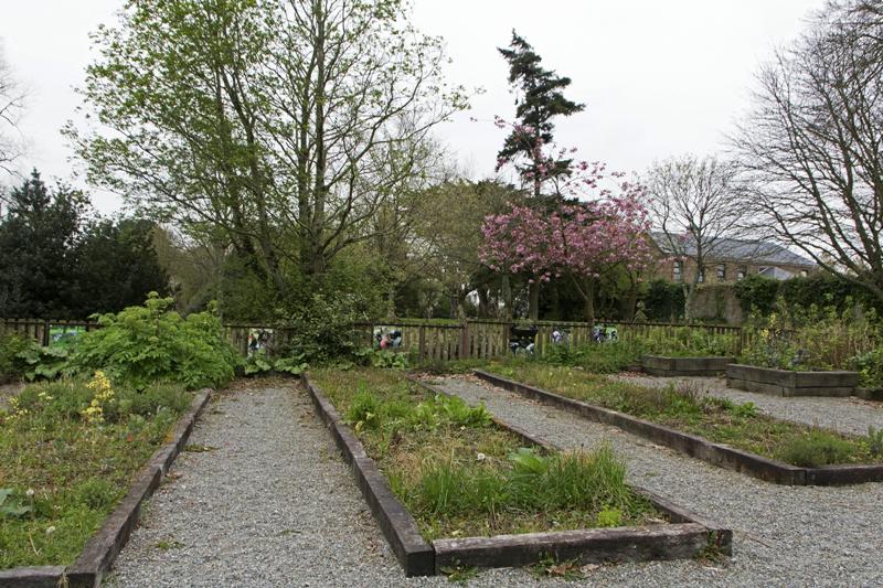 Cjp_2017-04-11_075240.jpg
