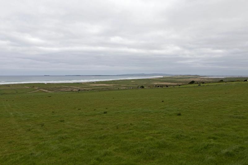 Cjp_2017-04-11_094246.jpg