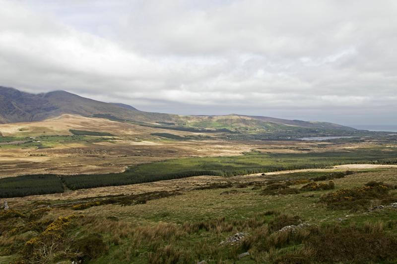 Cjp_2017-04-11_095352.jpg