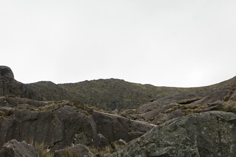 Cjp_2017-04-11_100358.jpg