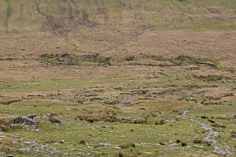 Cjp_2017-04-11_102824.jpg