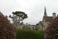 Cjp_2017-04-11_074314.jpg