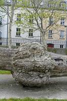 Cjp_2017-04-11_074504.jpg