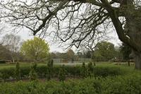 Cjp_2017-04-11_074518.jpg