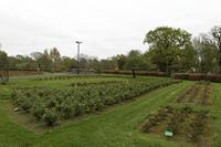 Cjp_2017-04-11_074852.jpg