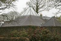 Cjp_2017-04-11_074912.jpg