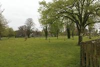 Cjp_2017-04-11_075152.jpg