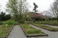 Cjp_2017-04-11_075240.jpg
