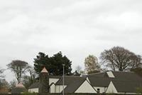 Cjp_2017-04-11_081248.jpg