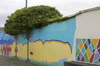 Cjp_2017-04-11_084600.jpg