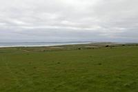Cjp_2017-04-11_094246.jpg