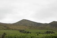 Cjp_2017-04-11_094322.jpg