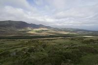 Cjp_2017-04-11_095348.jpg