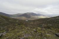 Cjp_2017-04-11_095932.jpg