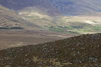 Cjp_2017-04-11_100318.jpg