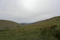 Cjp_2017-04-11_101034.jpg