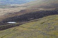 Cjp_2017-04-11_101330.jpg