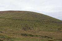 Cjp_2017-04-11_102820.jpg