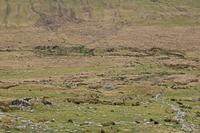 Cjp_2017-04-11_102824.jpg