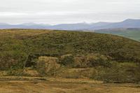Cjp_2017-04-11_103056.jpg