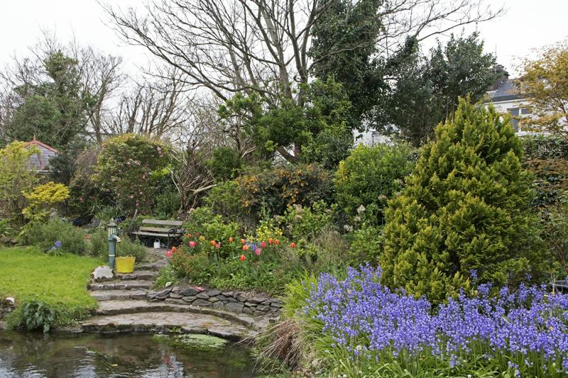 Cjp_2017-04-11_124950.jpg