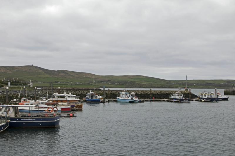 Cjp_2017-04-11_125554.jpg