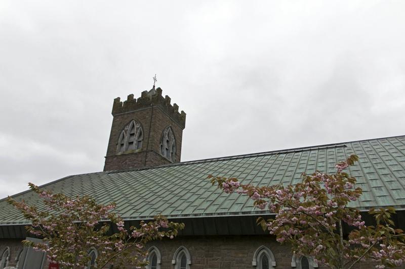 Cjp_2017-04-11_131832.jpg