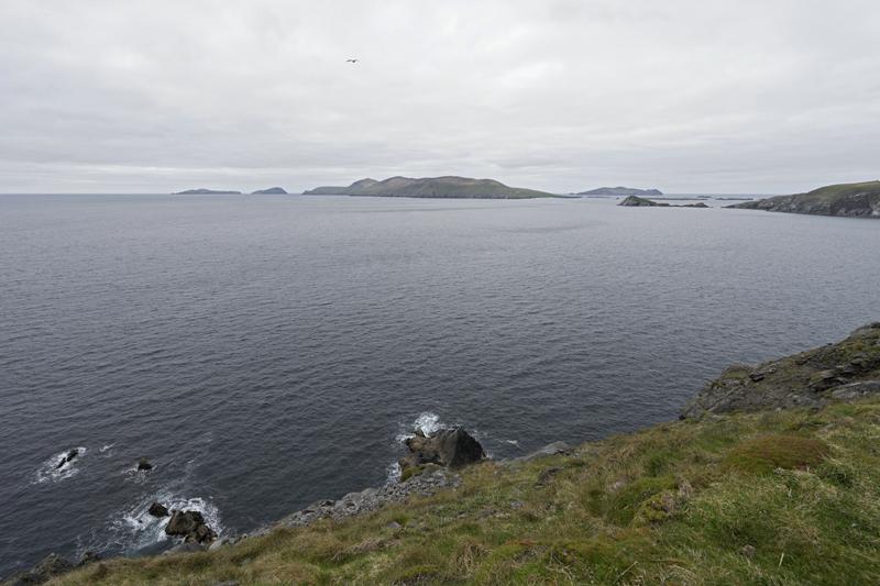 Cjp_2017-04-11_141816.jpg