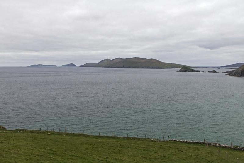 Cjp_2017-04-11_142634.jpg