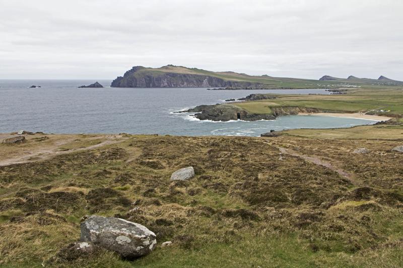 Cjp_2017-04-11_144556.jpg