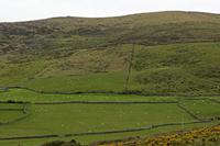 Cjp_2017-04-11_103448.jpg