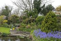 Cjp_2017-04-11_124950.jpg