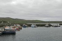 Cjp_2017-04-11_125554.jpg